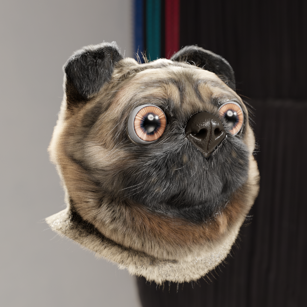Blend swap  pug head with fur