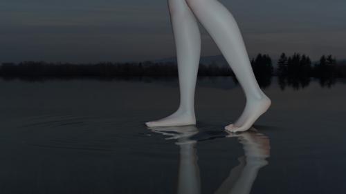 Legs Rigged preview image