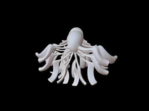 Crura Nuntiuss preview image