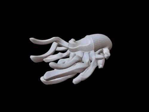 Crura Torqueat preview image