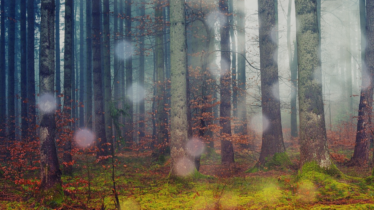 Compositor Node 3dbb procedural Bokeh-Fake-02 preview image 3