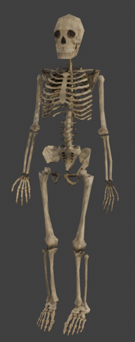 Retro Lowpoly PSX Skeleton preview image