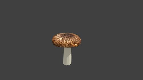 Mushroom preview image