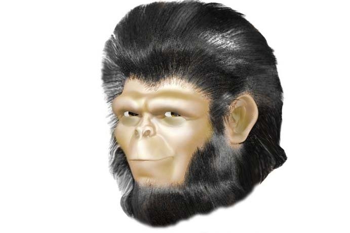 Cesar preview image 2