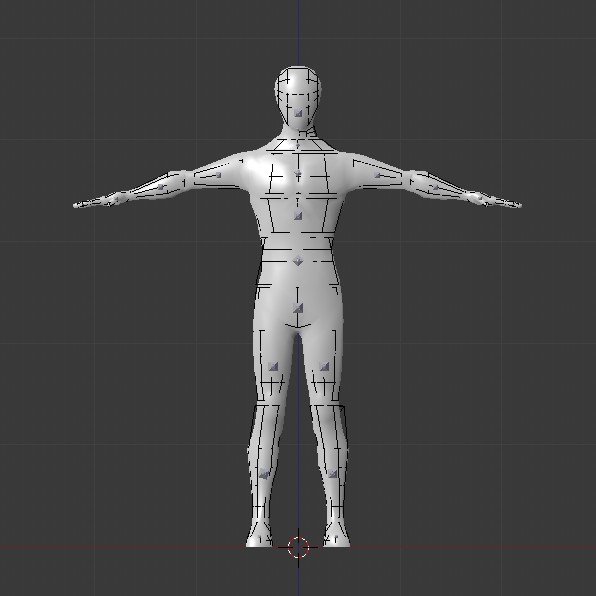 Skinned Ragdoll preview image 1