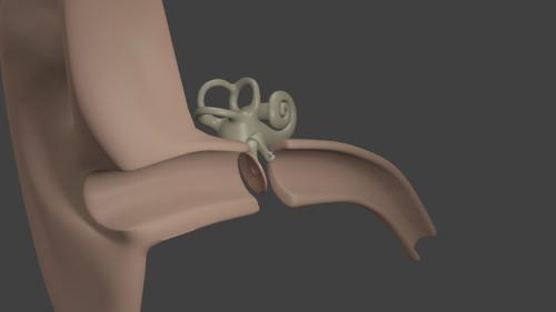 Inner Ear preview image