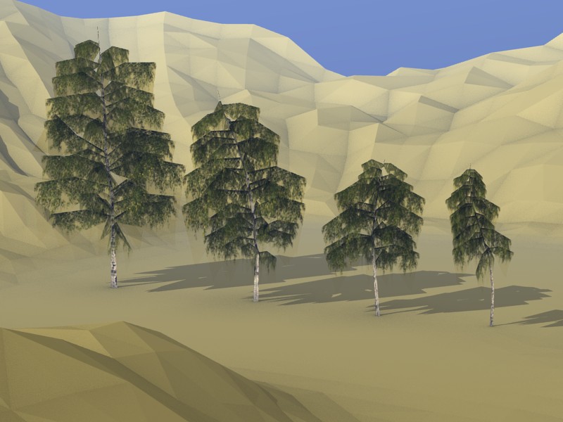 Birch trees  preview image 1