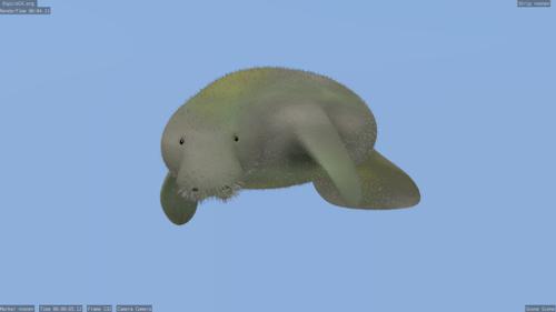 Manati/Manatee preview image