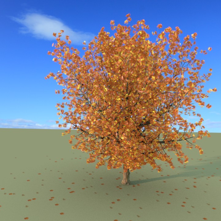 Sugar Maple in Fall preview image 1