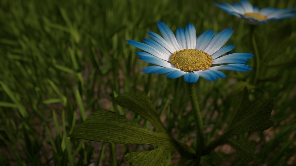 Chrysanthemum preview image 1