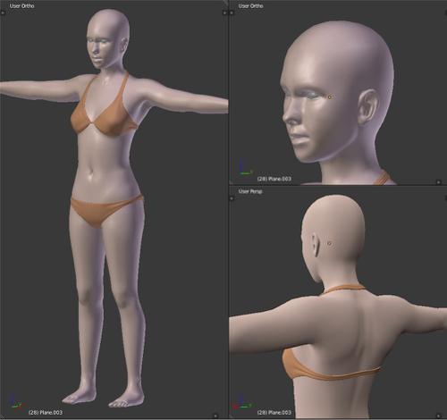 Realistic Female Character preview image