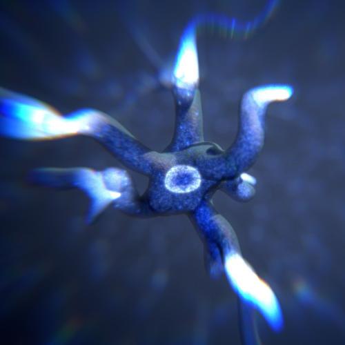 The Mind - Production Files preview image