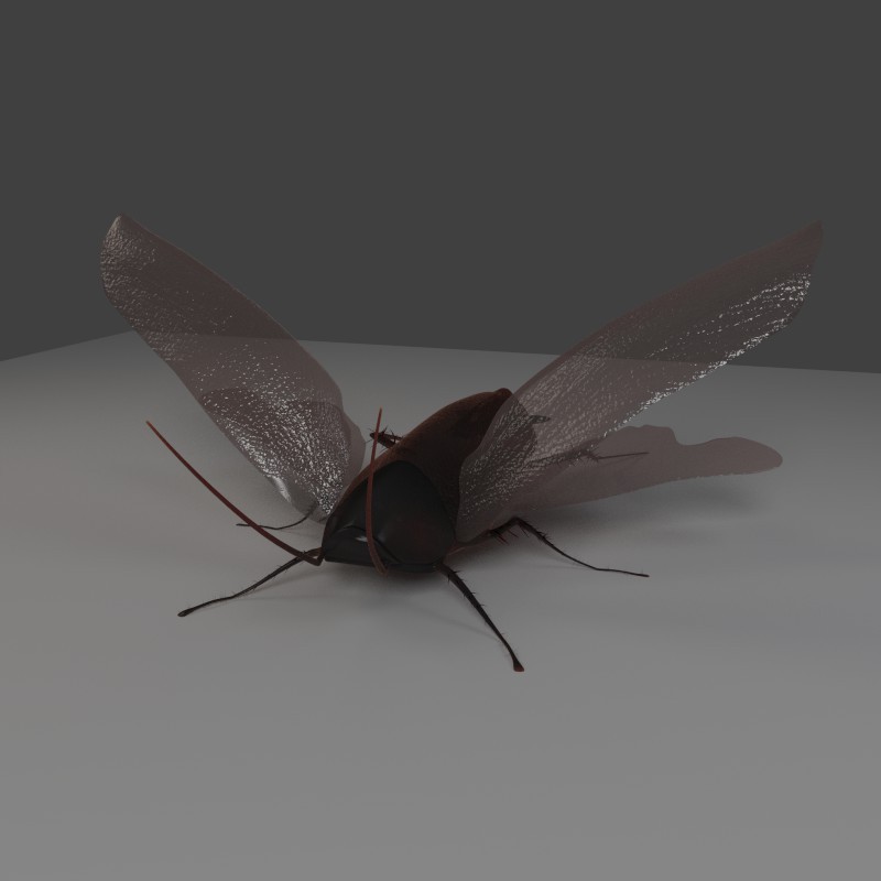 Smokey Brown Cockroach Cycles preview image 1