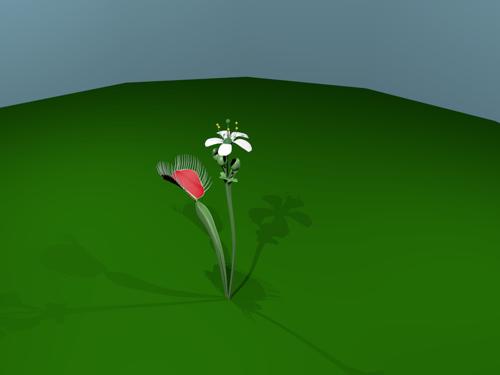 Venis Fly Trap preview image