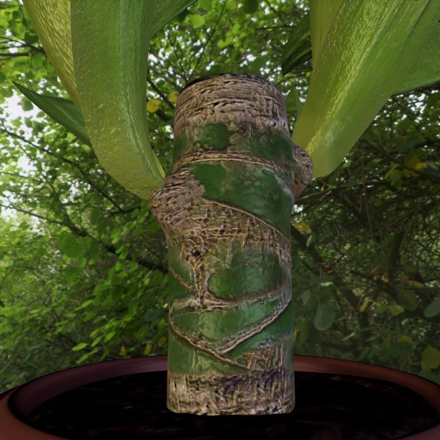 Indoor Pot Plant 2 preview image 3