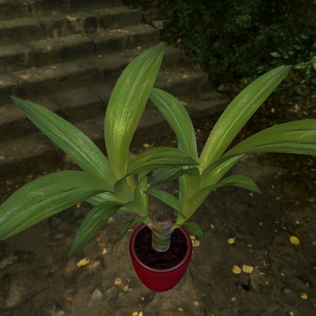 Indoor Pot Plant 2 preview image 4