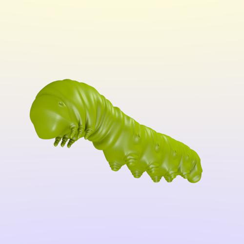Caterpillar preview image