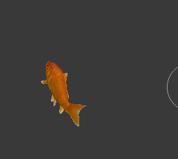 fish preview image 4