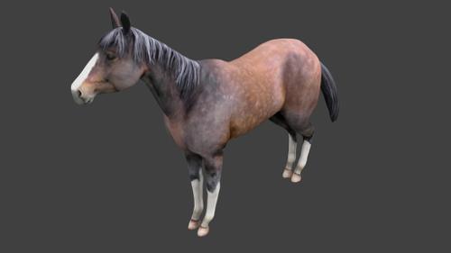 caballo rig preview image