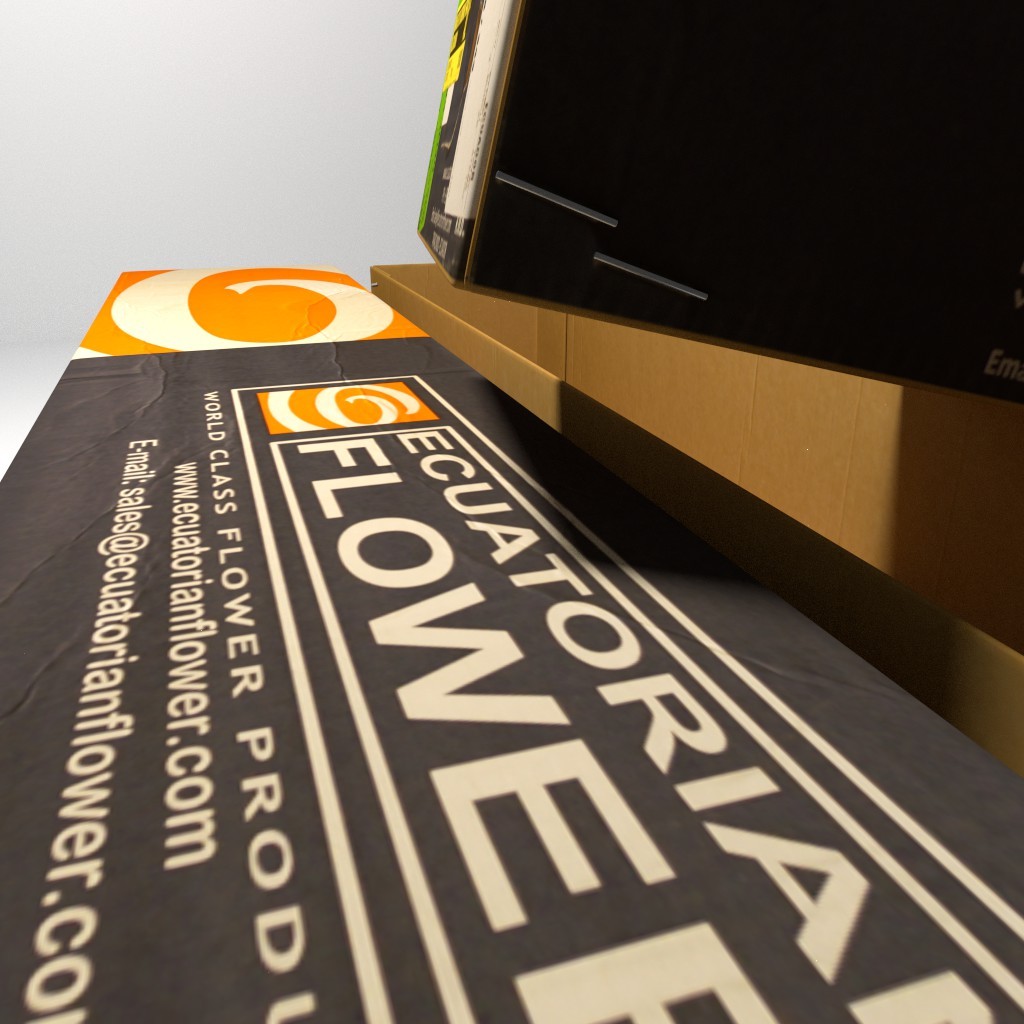 Cardboard preview image 2