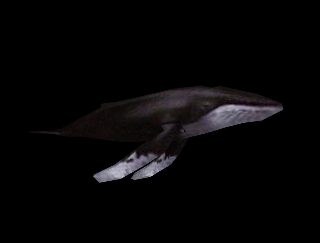 Megaptere preview image 1